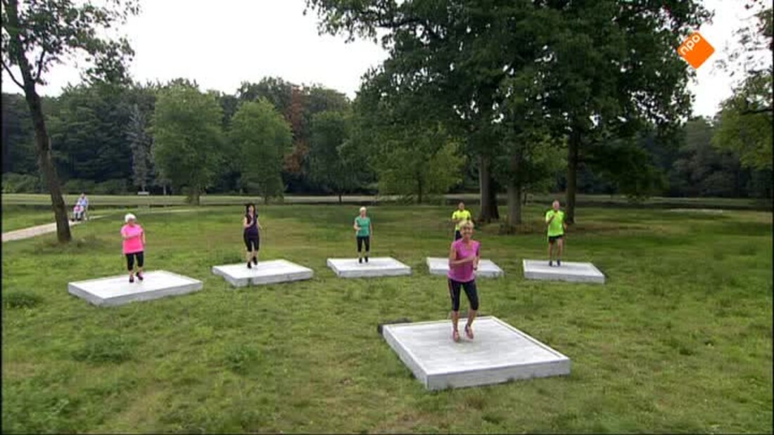 Nederland in Beweging!